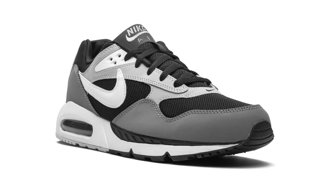 Nike Men's Flex Control TR3 Sneaker
