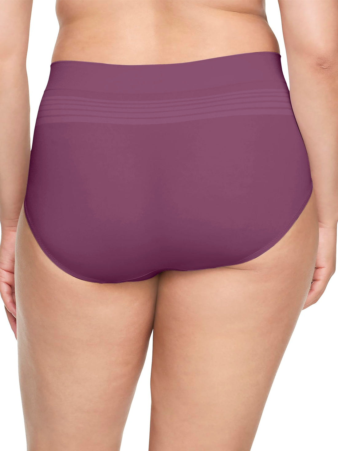 Warner's No Pinching No Problems Seamless Brief Underwear