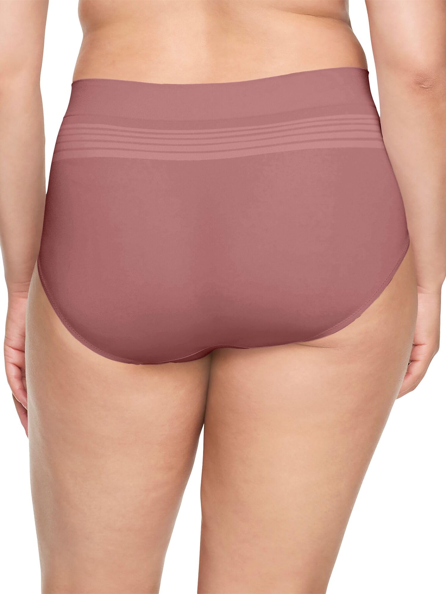 Warner's No Pinching No Problems Seamless Brief Underwear