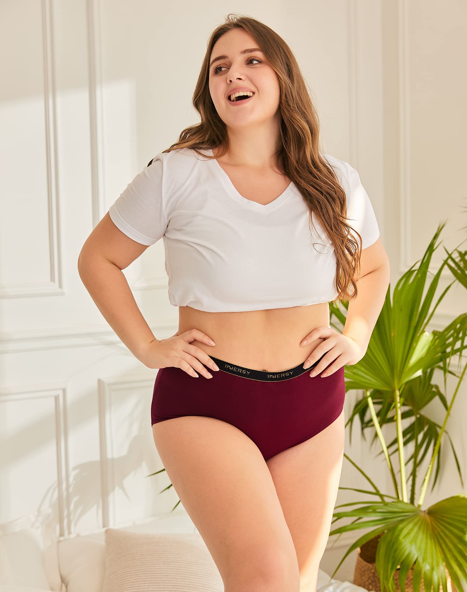 INNERSY Plus Size XL-6XL Big Curvy Woman Cotton Underwear High Waist Briefs 5-Pack