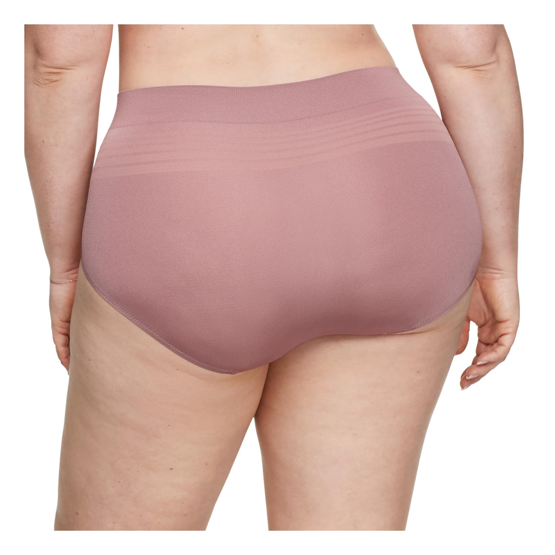 Warner's No Pinching No Problems Seamless Brief Underwear