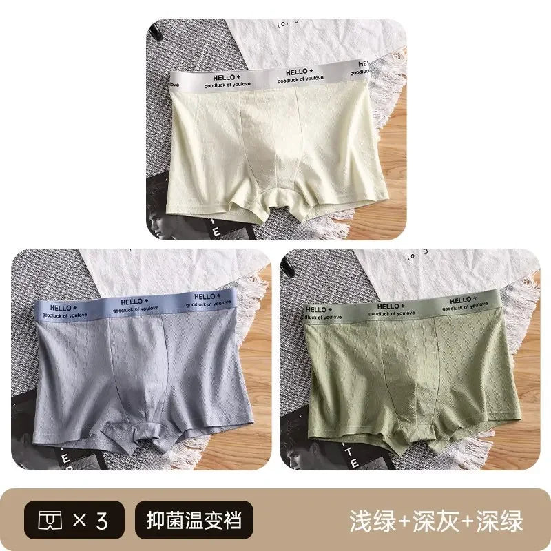 3Pcs Fashion Men's Boxer Shorts Comfortable Cotton Underwear Solid Underpants Sexy Panties Male Breathbale Boxer Briefs