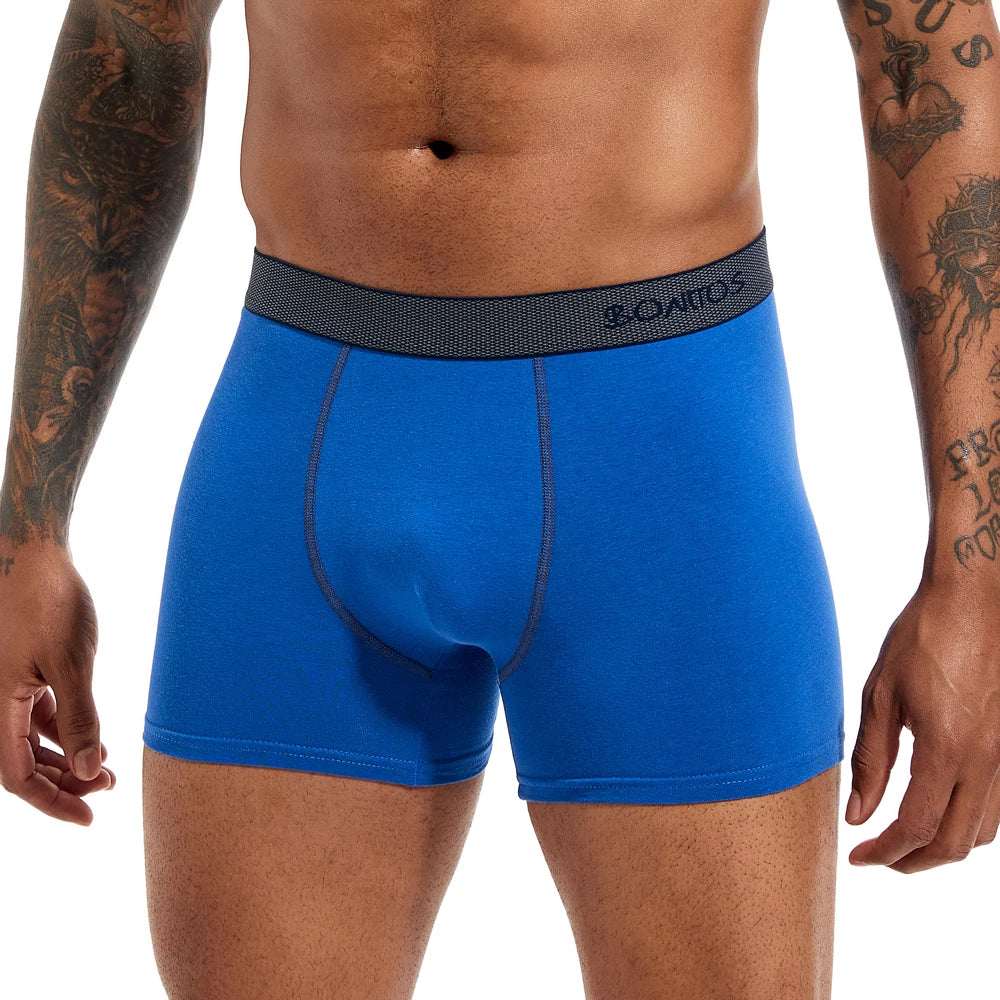 Boxershorts Men Boxer Shorts Boxer Brand Men's Panties Underwear Men Underpants Man Cotton Sexy for Male Calecon Family