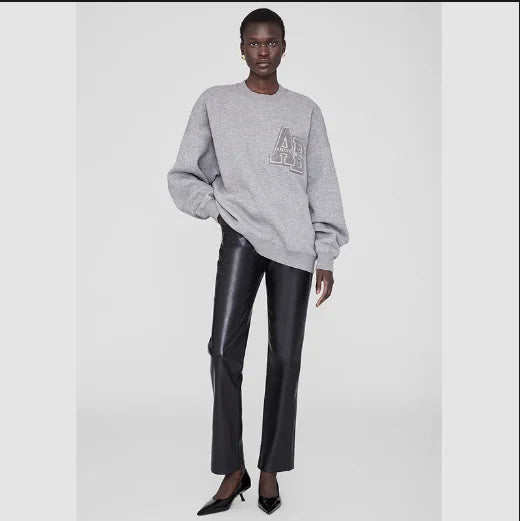 2025 Winter New North American Niche Classic Letter BING Printed Inner Fleece High Neck Loose Women's Sweatshirt - ATFH