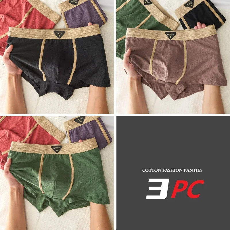 3PC 100% Cotton Men's Underwear Autumn Winter New 10A Antibacterial BoxerShorts Loose Comfortable Men's Quadrangle Underpants