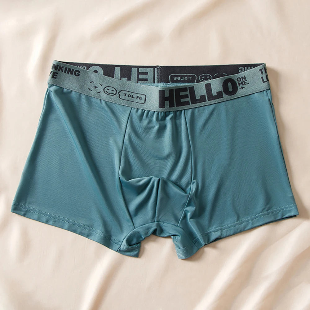 5pcs Boxer Shorts Ice Silk Men's Underwear Summer Breathable Underpants U Convex Lingerie Breathable Sexy Panties
