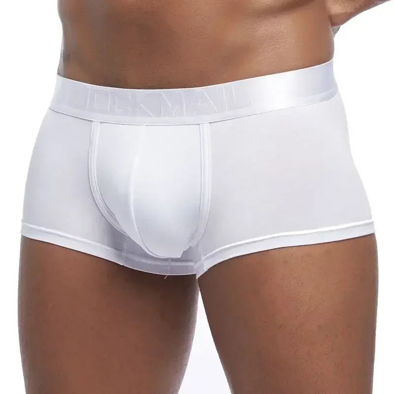 4PCS/Lot Underwear Men Boxer Men's Underpants Shorts Man Panties Boxershorts Boxer Hombre Ropa Interior Hombre Modal Breathable