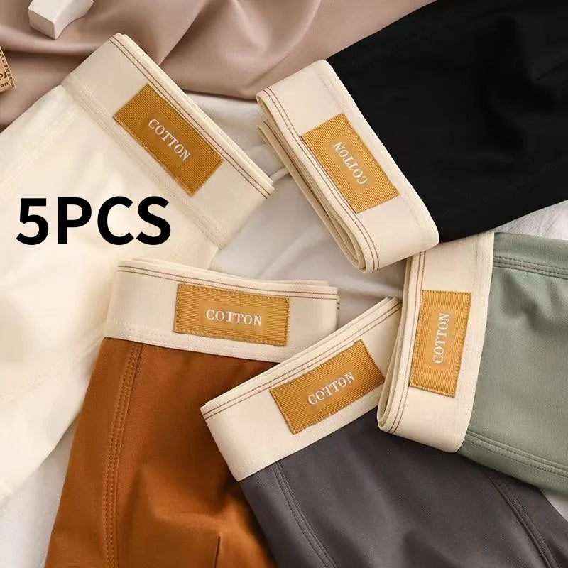 5Pcs Men's Underwear Man Panties Comfortable Breathable Antibacterial Pure Cotton Underwear Sexy Underwear Fashion Boxer Shorts