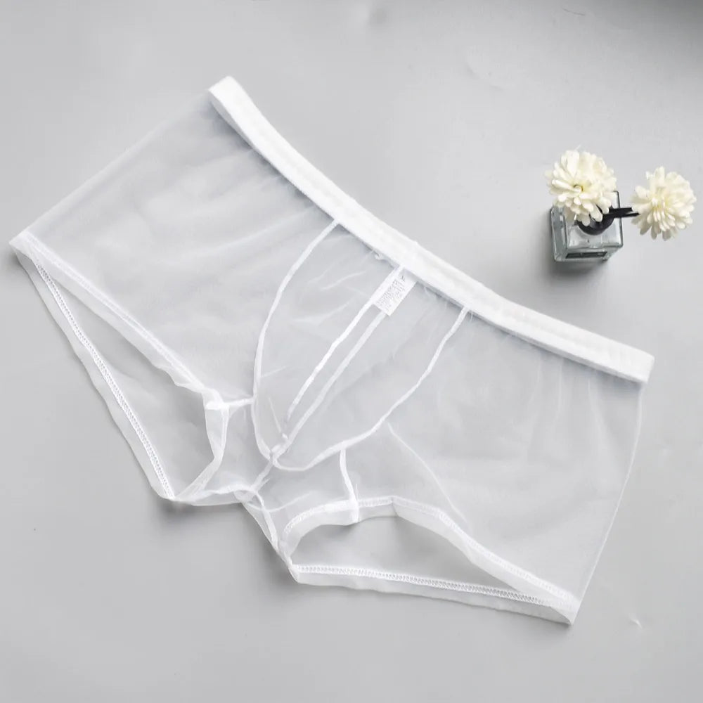 Transparent Mesh Men's Boxer Briefs - Breathable Ultra-Sexy Underwear Perfect for Casual Wear & Special Nights