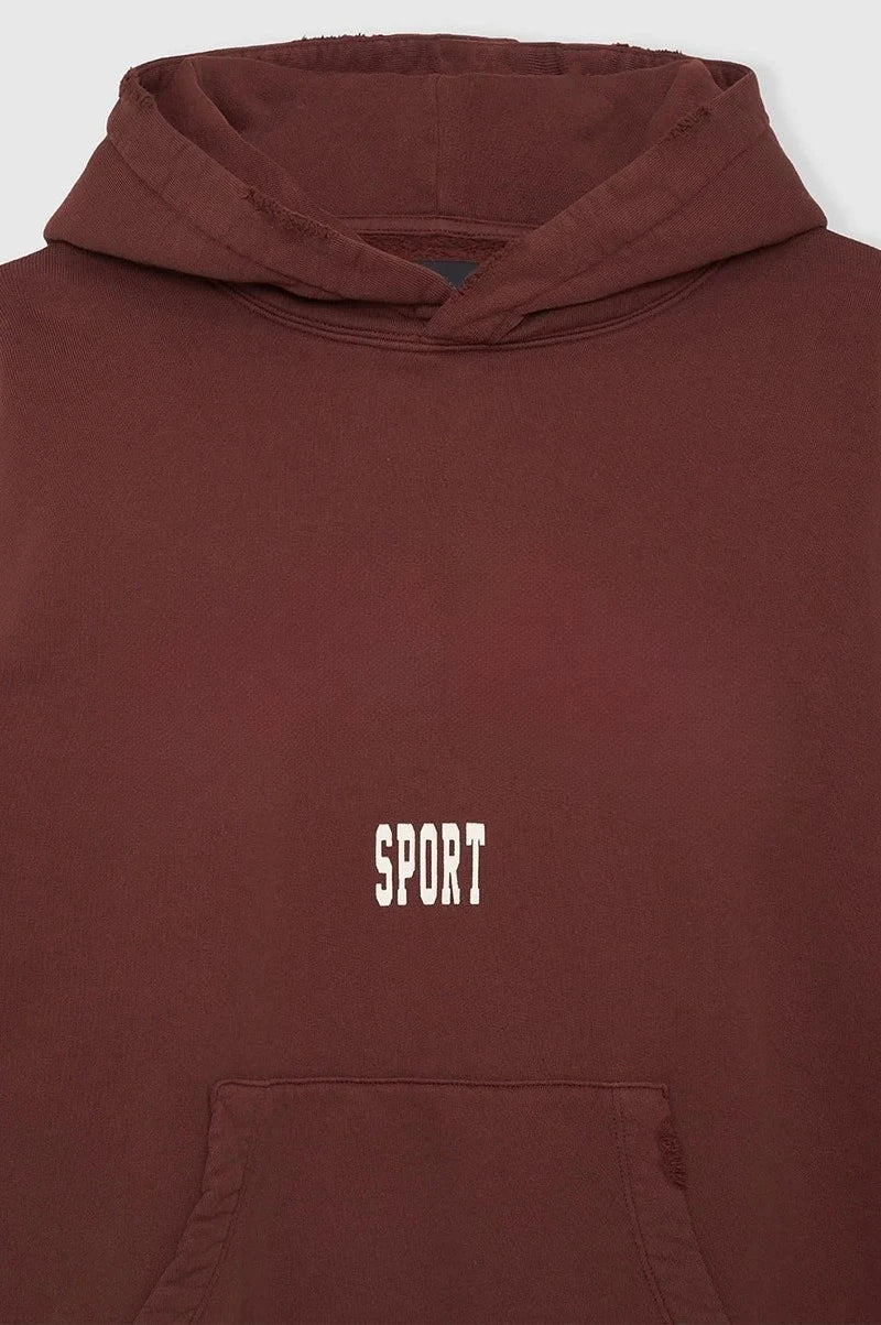 2026 Autumn Spring New North American Niche Classic Letter Printing Dyeing Fried Color Old Washing Water Women's Hooded Sweater - ATFH