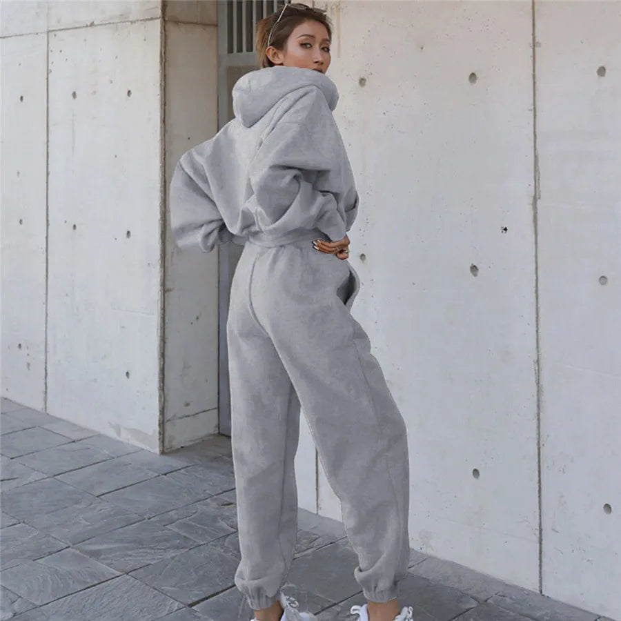 Two Piece Set Women Hooded Sweatshirt Pant Sets Solid Full Sleeve Thick Tops Pullover Pockets Midi Waist Trousers Sporty Suit