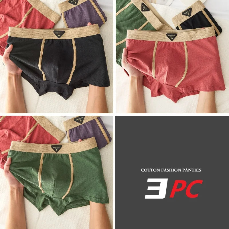 3PC 100% Cotton Men's Underwear Autumn Winter New 10A Antibacterial BoxerShorts Loose Comfortable Men's Quadrangle Underpants