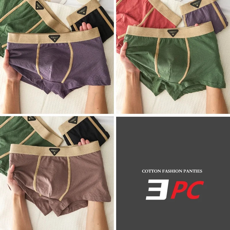 3PC 100% Cotton Men's Underwear Autumn Winter New 10A Antibacterial BoxerShorts Loose Comfortable Men's Quadrangle Underpants