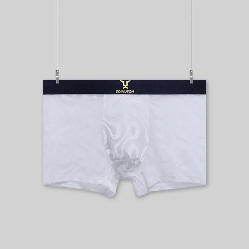 Luxury Men's Sheer Mesh Boxer Briefs Sexy Velvet Flocked Print Underwear Wide Elastic Waistband Breathable 3D Contour Pouch No R