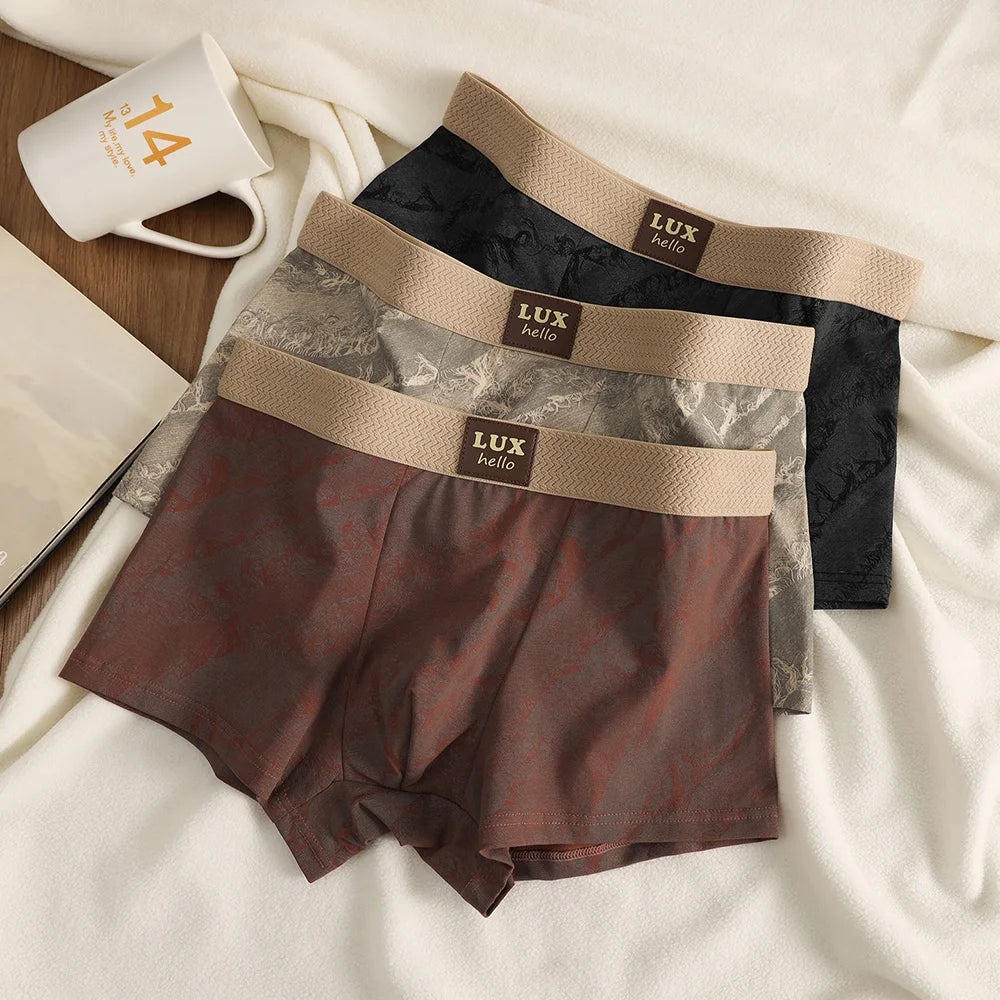 3PCS/Pack 100% Cotton Luxury Print Boxers Hombre 3D Mesh Breathable Antibacterial Pouch Underwear Comfortable Soft Men's Panties