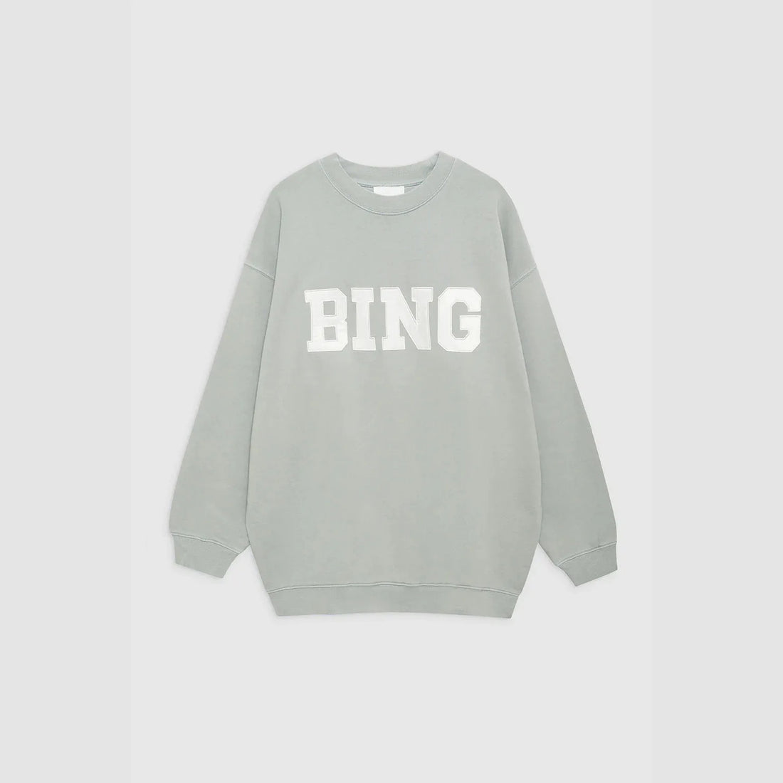 Autumn and winter BING embroidered patch fabric round neck pullover loose cotton sportswear sweatshirt for women - ATFH
