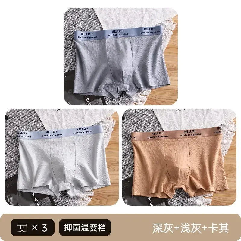 3Pcs Fashion Men's Boxer Shorts Comfortable Cotton Underwear Solid Underpants Sexy Panties Male Breathbale Boxer Briefs