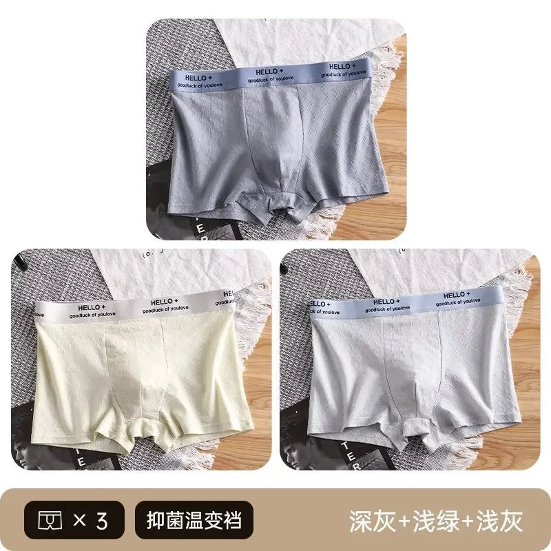 3Pcs Fashion Men's Boxer Shorts Comfortable Cotton Underwear Solid Underpants Sexy Panties Male Breathbale Boxer Briefs