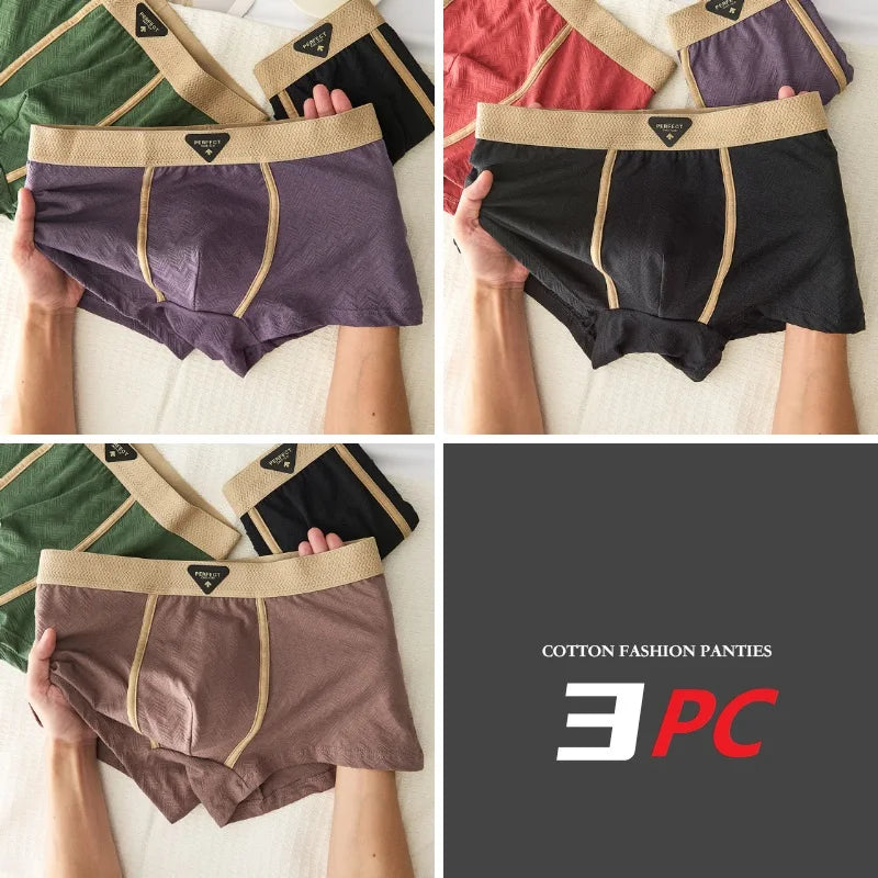 3PC 100% Cotton Men's Underwear Autumn Winter New 10A Antibacterial BoxerShorts Loose Comfortable Men's Quadrangle Underpants