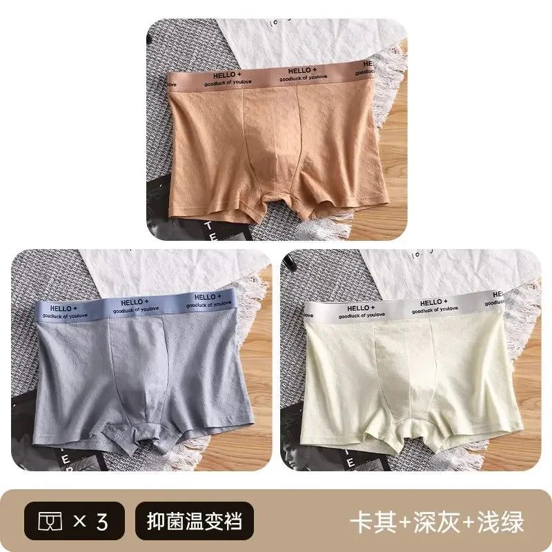 3Pcs Fashion Men's Boxer Shorts Comfortable Cotton Underwear Solid Underpants Sexy Panties Male Breathbale Boxer Briefs