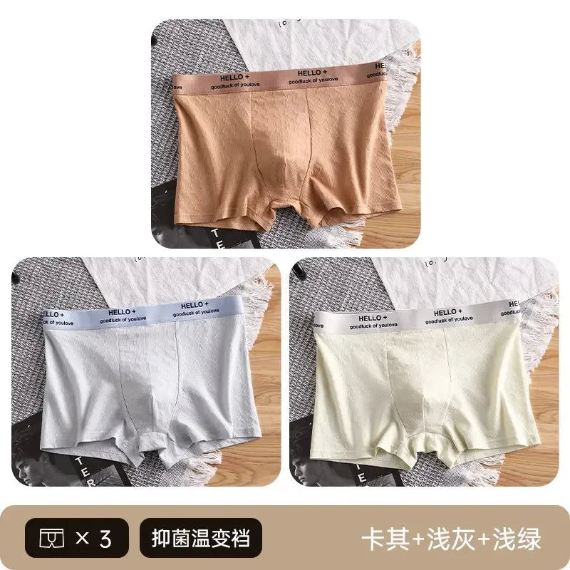 3Pcs Fashion Men's Boxer Shorts Comfortable Cotton Underwear Solid Underpants Sexy Panties Male Breathbale Boxer Briefs