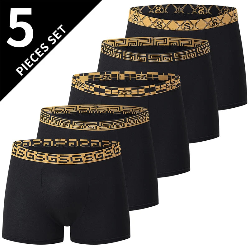 5-piece Set Of Men's Black Classic Elastic Waisted Underwear Quick Drying Comfortable Sporty Youth Trend Flat Corner Pants