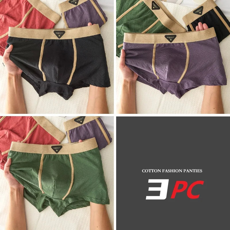 3PC 100% Cotton Men's Underwear Autumn Winter New 10A Antibacterial BoxerShorts Loose Comfortable Men's Quadrangle Underpants