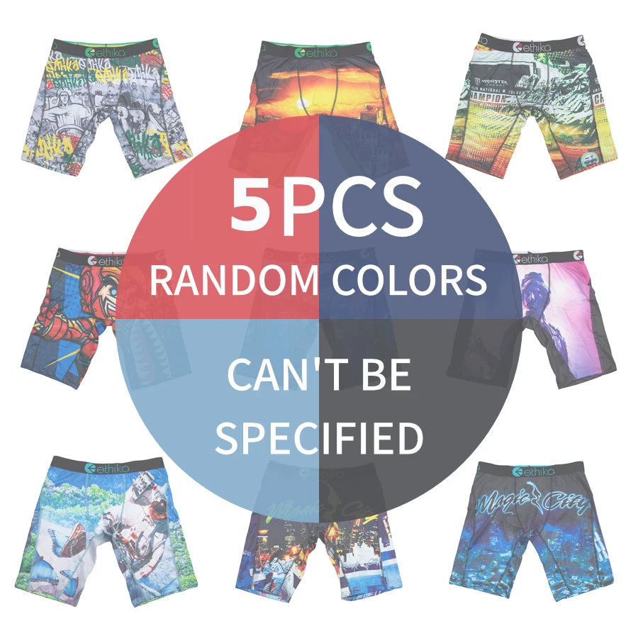 ETHIKA 5Pcs Sexy Men Underwear Breathable Mesh Crotch Mens Underpants Boxers Plus Size Printed Man Panties Men's Boxers Briefs