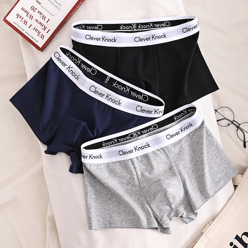 3Pcs Underwear Men's Boxer Shorts Sexy Panties Cotton Boxers Man Underpants Male Shorts Homme U Convex Lingerie Wholesale Lots