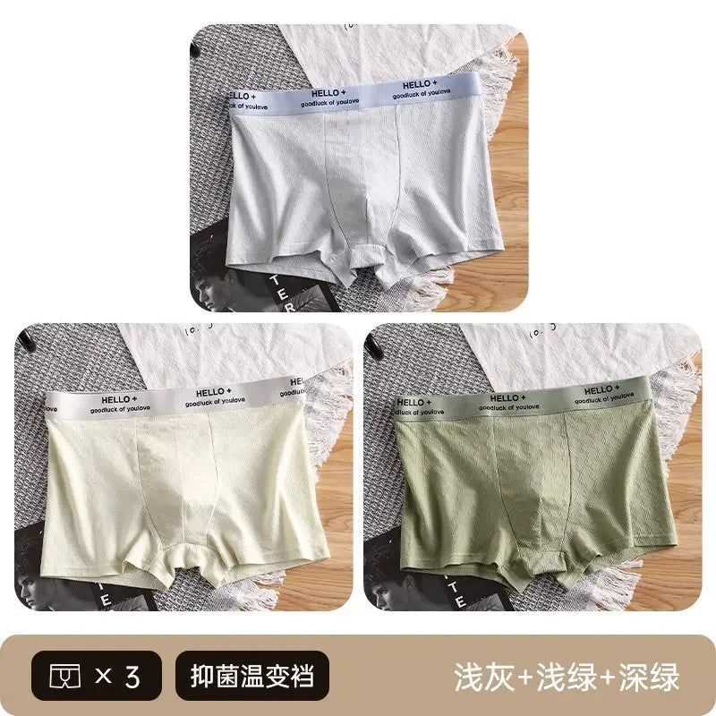 3Pcs Fashion Men's Boxer Shorts Comfortable Cotton Underwear Solid Underpants Sexy Panties Male Breathbale Boxer Briefs