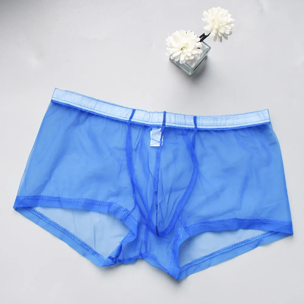 Transparent Mesh Men's Boxer Briefs - Breathable Ultra-Sexy Underwear Perfect for Casual Wear & Special Nights