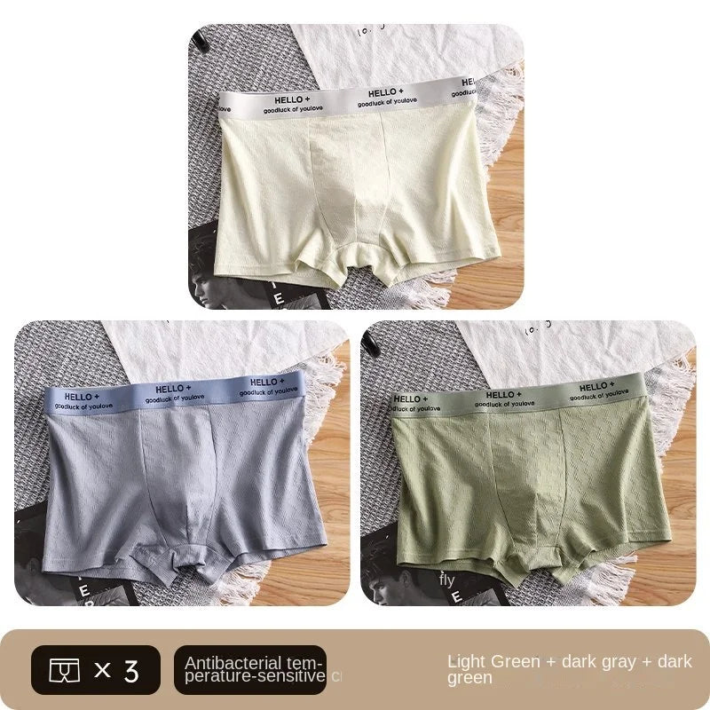 3Pcs Fashion Men's Boxer Shorts Comfortable Cotton Underwear Solid Underpants Sexy Panties Male Breathbale Boxer Briefs