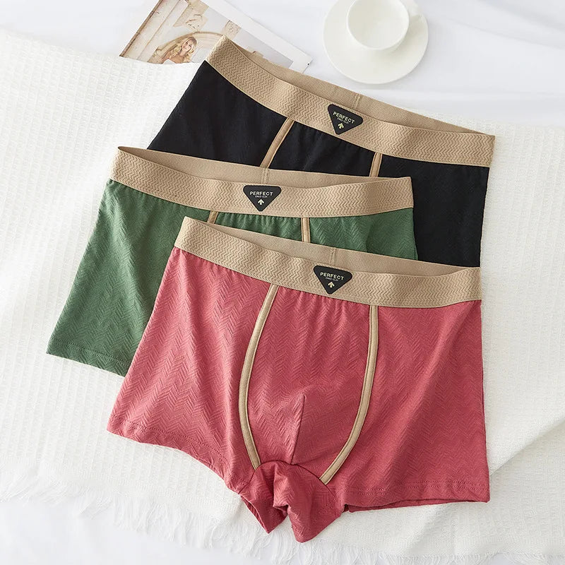 3PC 100% Cotton Men's Underwear Autumn Winter New 10A Antibacterial BoxerShorts Loose Comfortable Men's Quadrangle Underpants