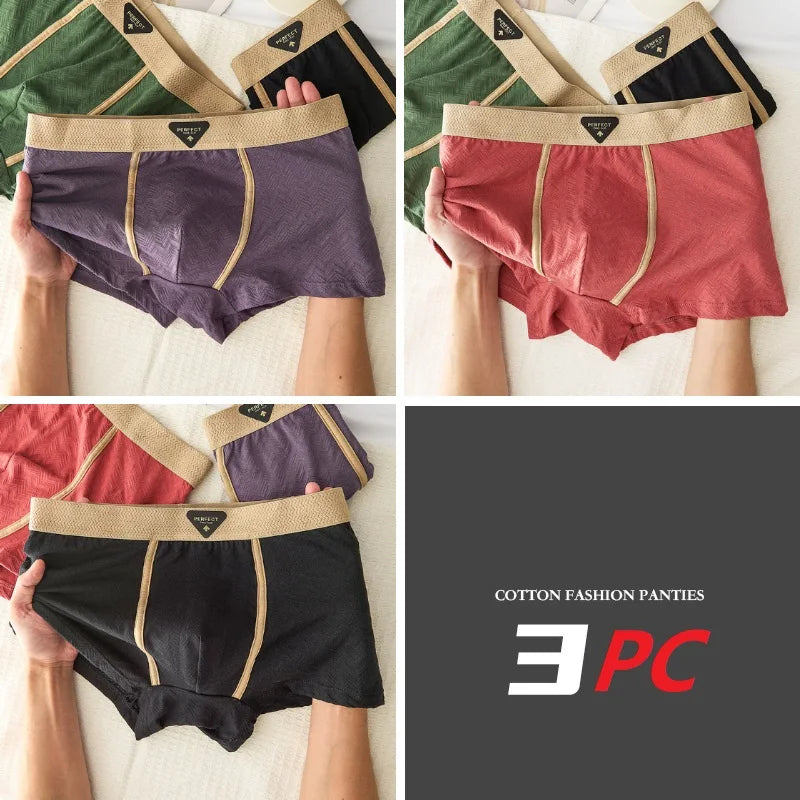 3PC 100% Cotton Men's Underwear Autumn Winter New 10A Antibacterial BoxerShorts Loose Comfortable Men's Quadrangle Underpants