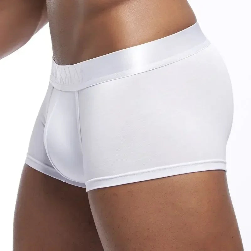 4PCS/Lot Underwear Men Boxer Men's Underpants Shorts Man Panties Boxershorts Boxer Hombre Ropa Interior Hombre Modal Breathable