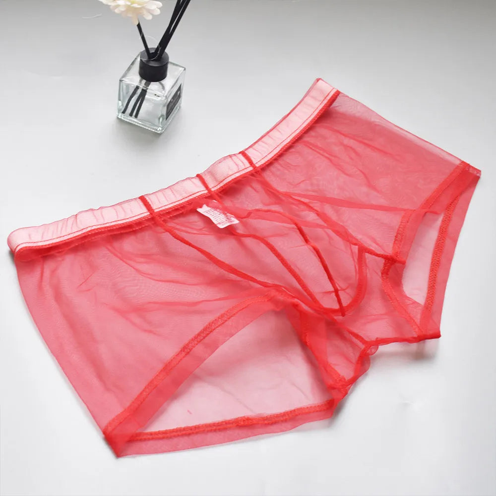 Transparent Mesh Men's Boxer Briefs - Breathable Ultra-Sexy Underwear Perfect for Casual Wear & Special Nights