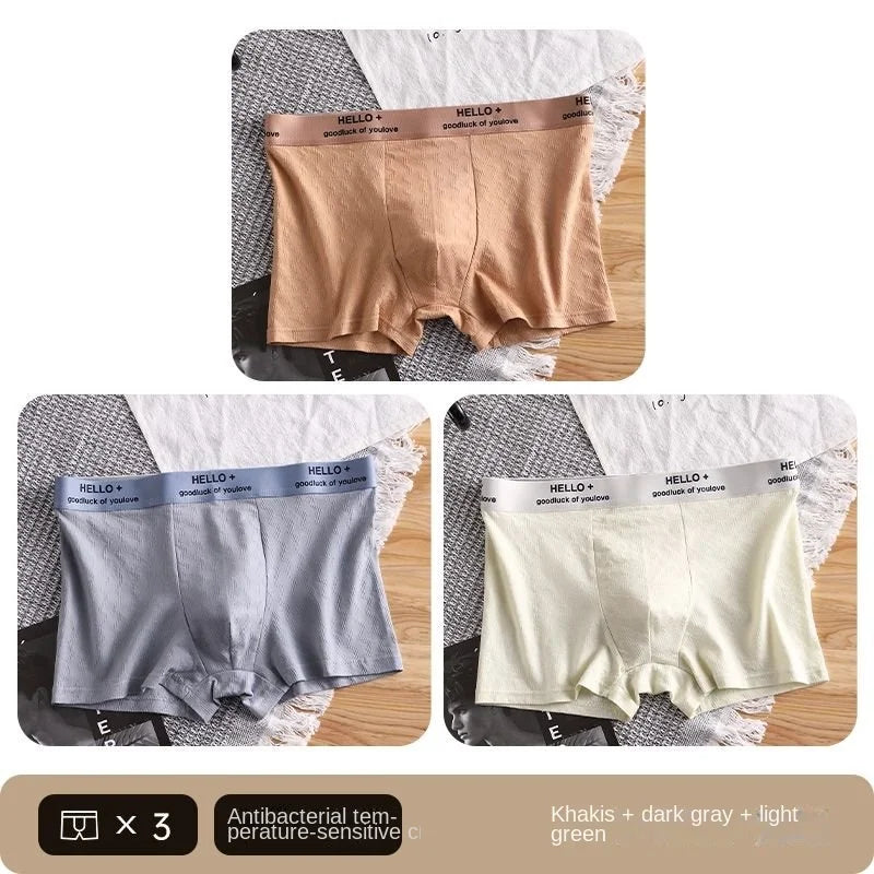 3Pcs Fashion Men's Boxer Shorts Comfortable Cotton Underwear Solid Underpants Sexy Panties Male Breathbale Boxer Briefs