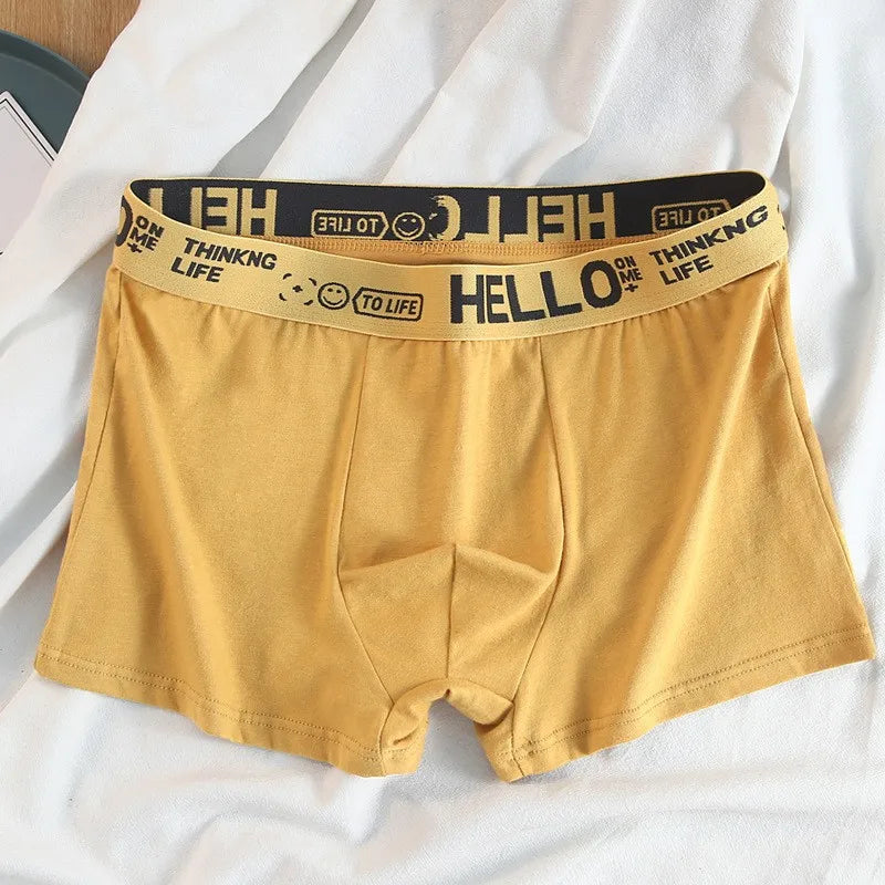 10PCS Mens Underwear Male Boxers Sexy Underpants Comfortable Breathable Fashion Boys Panties Underwear Boxershorts Men