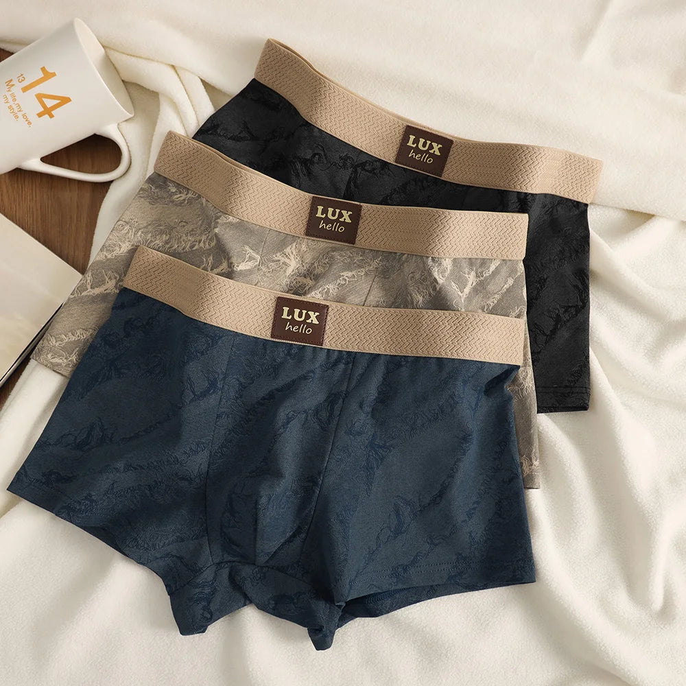 3PCS/Pack 100% Cotton Luxury Print Boxers Hombre 3D Mesh Breathable Antibacterial Pouch Underwear Comfortable Soft Men's Panties