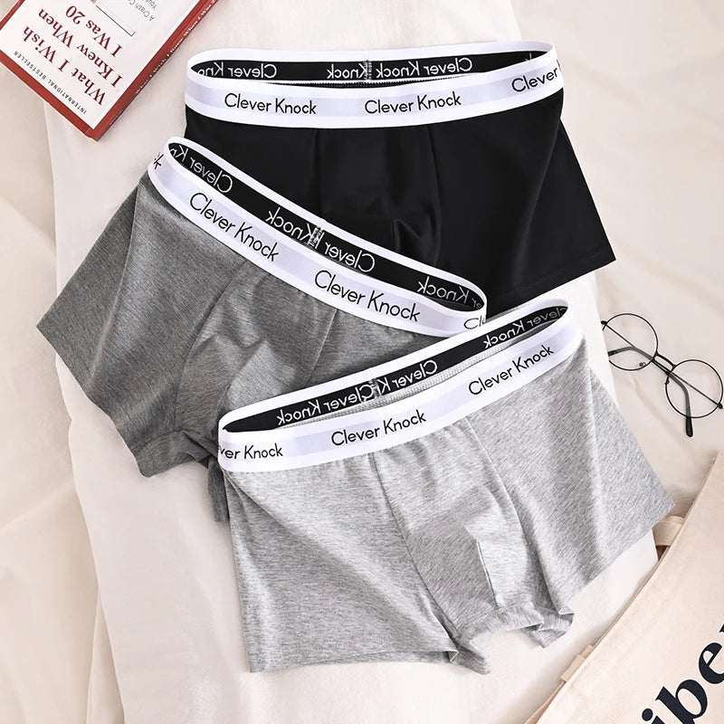 3Pcs Underwear Men's Boxer Shorts Sexy Panties Cotton Boxers Man Underpants Male Shorts Homme U Convex Lingerie Wholesale Lots