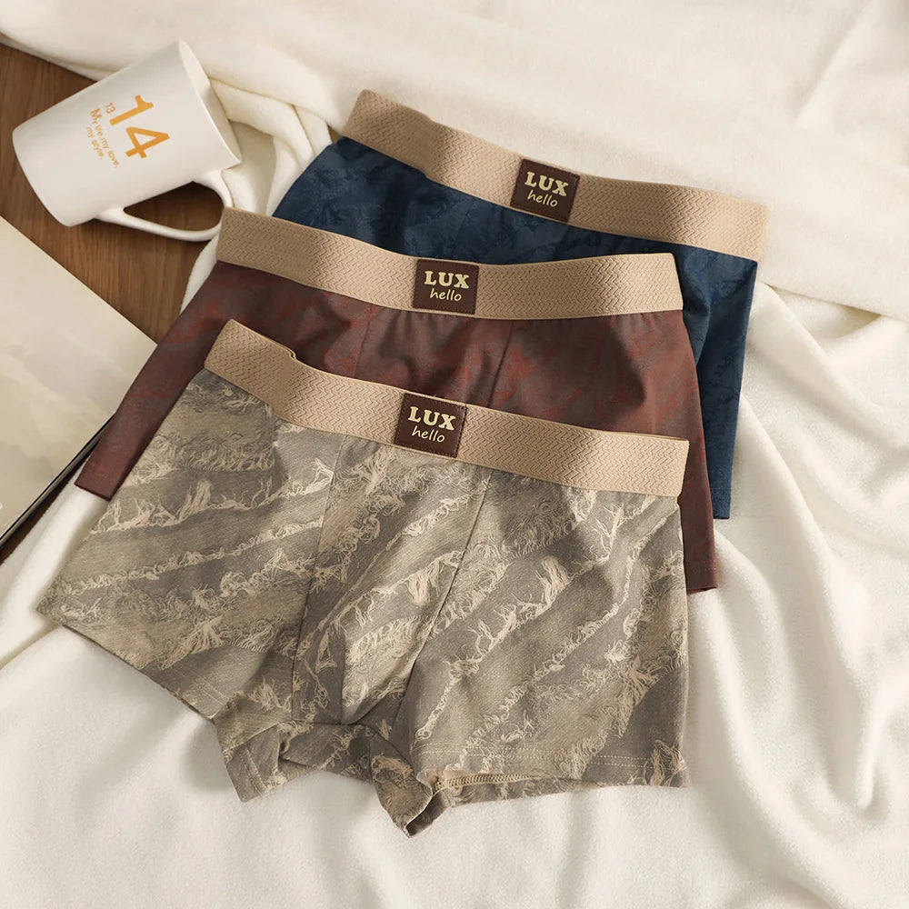 3PCS/Pack 100% Cotton Luxury Print Boxers Hombre 3D Mesh Breathable Antibacterial Pouch Underwear Comfortable Soft Men's Panties