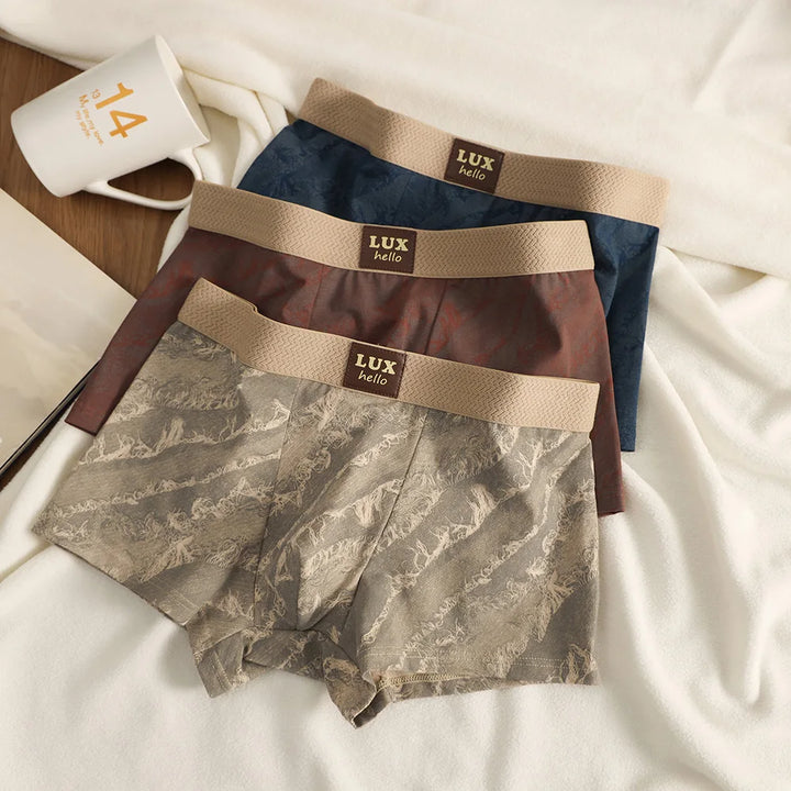 3PCS/Pack 100% Cotton Luxury Print Boxers Hombre 3D Mesh Breathable Antibacterial Pouch Underwear Comfortable Soft Men's Panties