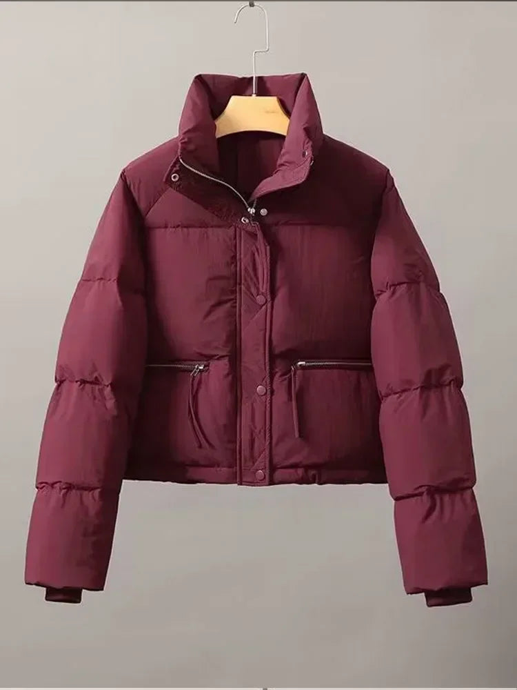 Casual Short Winter Jacket Women Stand Collar Zipper Warm Parkas High Street Padding Coat Female 2024 Winter Lady Down Coats ATFH