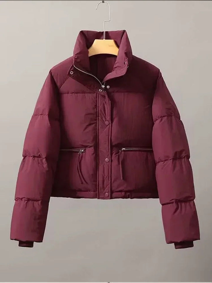 Casual Short Winter Jacket Women Stand Collar Zipper Warm Parkas High Street Padding Coat Female 2024 Winter Lady Down Coats ATFH