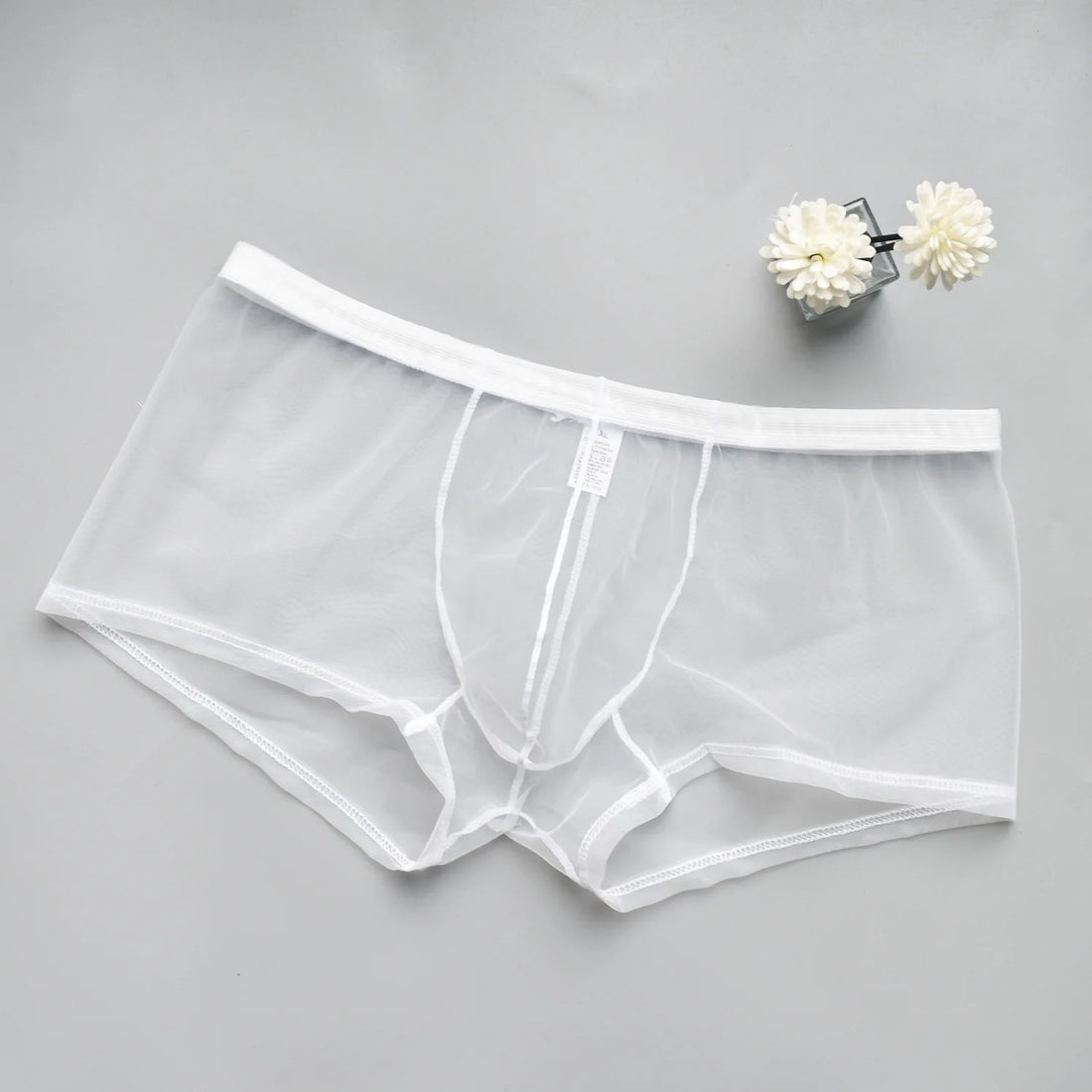 Transparent Mesh Men's Boxer Briefs - Breathable Ultra-Sexy Underwear Perfect for Casual Wear & Special Nights