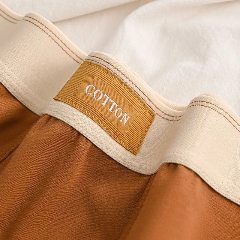 5Pcs Men's Underwear Man Panties Comfortable Breathable Antibacterial Pure Cotton Underwear Sexy Underwear Fashion Boxer Shorts