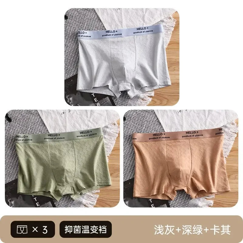 3Pcs Fashion Men's Boxer Shorts Comfortable Cotton Underwear Solid Underpants Sexy Panties Male Breathbale Boxer Briefs
