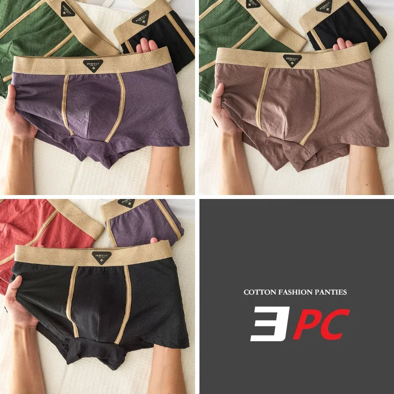3PC 100% Cotton Men's Underwear Autumn Winter New 10A Antibacterial BoxerShorts Loose Comfortable Men's Quadrangle Underpants