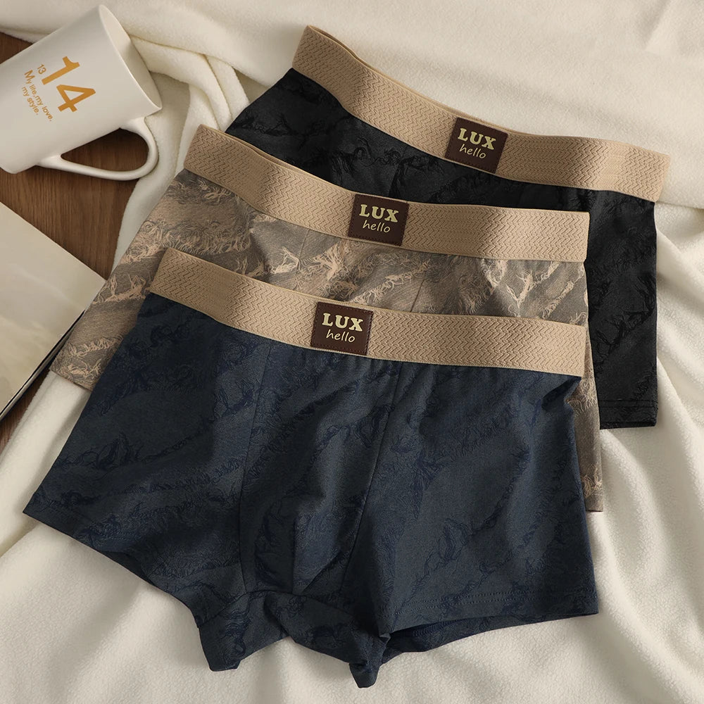 3PCS/Pack 100% Cotton Luxury Print Boxers Hombre 3D Mesh Breathable Antibacterial Pouch Underwear Comfortable Soft Men's Panties