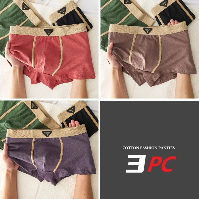 3PC 100% Cotton Men's Underwear Autumn Winter New 10A Antibacterial BoxerShorts Loose Comfortable Men's Quadrangle Underpants